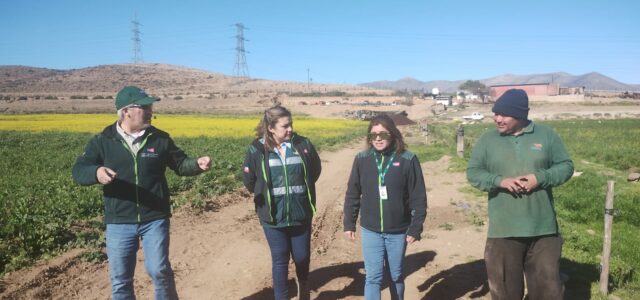 25-07-2024.- El director nacional del Servicio Agrícola y Ganadero, SAG, José Guajardo Reyes, en visita a la región de Atacama destacó el próximo funcionamiento del sitio de inspección frutícola que se […]